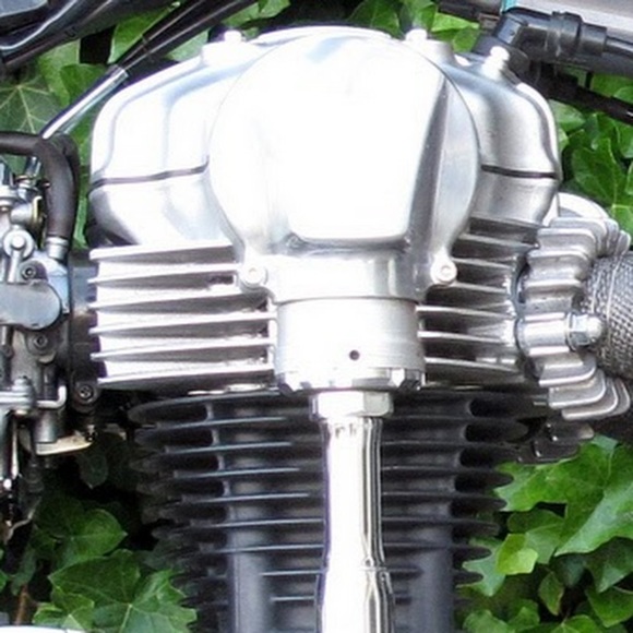 Meet your Posher, Flattenedfrog - Picture 1 of 1